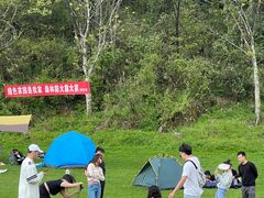 -武陵山森林公园