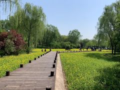 -北坞公园