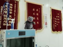-萌兽医馆·眼科·异宠专科(三里屯店)