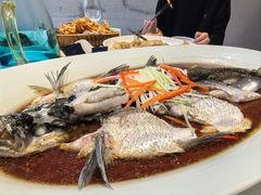 -丹江渔村(望京店)