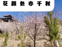 -内蒙古自治区国际蒙医医院(总院)