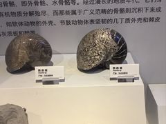 -重庆自然博物馆(新馆)