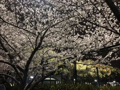 -同济大学四平路校区游泳馆