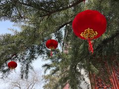 -北京艺术博物馆(万寿寺)