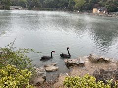 -南京珍珠泉风景区