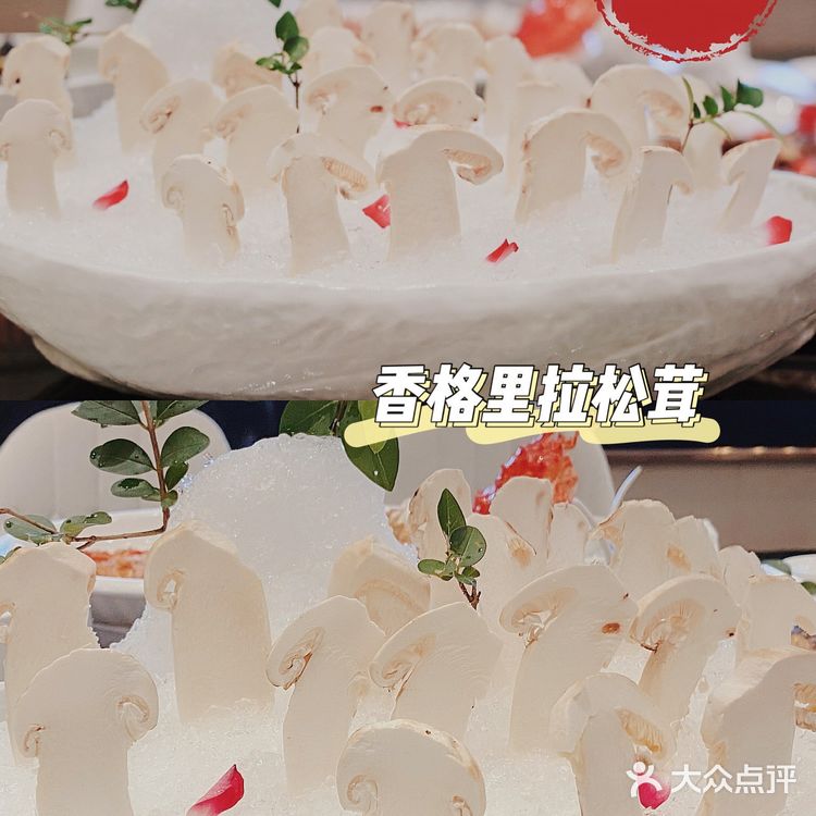 沪上顶级粤菜|爱上这口香格里拉松茸