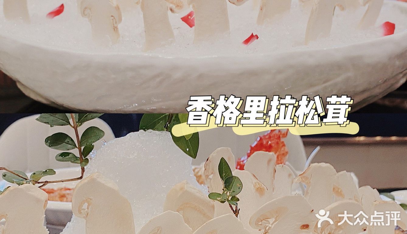 沪上顶级粤菜｜爱上这口香格里拉松茸