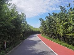 -上海长兴岛郊野公园