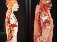 -形馆健身·普拉提(加州店)