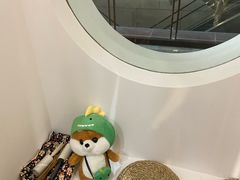 -柴迷FANS CLUB·柴犬狗咖·猫咖