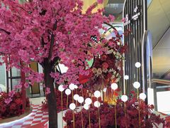 -五月花商业广场(中山五路店)