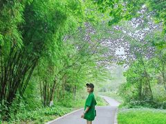 -桤木河湿地公园