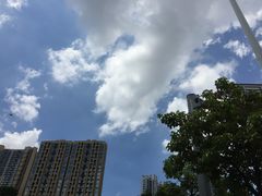 -愿者上钩(布吉老街店)