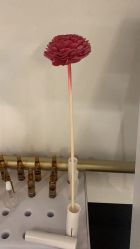 -苗方清颜·祛痘皮肤管理