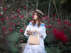 -人民公园(罗湖区)