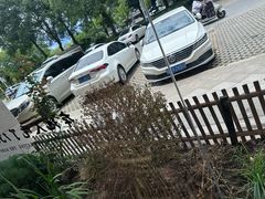 -黄山老妈·土菜(碧桂园店)