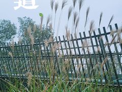 -福道