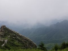-朱雀国家森林公园