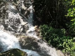 -凤凰山国家森林公园