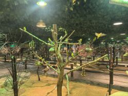 -酷嗒动物文化乐园(cutezoo西溪乐天城店)