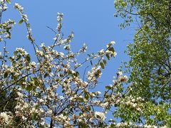 -广州白江湖森林公园