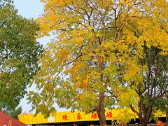 -上海海湾国家森林公园