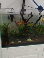 -郡艺医疗美容·微整·眼鼻吸脂