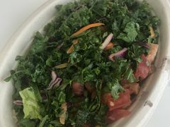 -油梨树AVOCADO TREE(嘉里中心店)