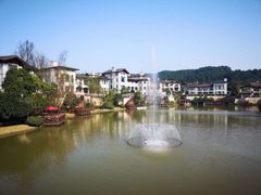 -铁山坪森林公园