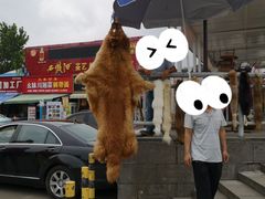 场地-秦始皇兵马俑博物馆-停车场