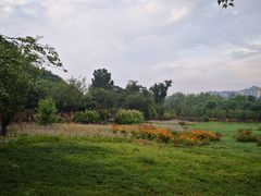 -贵阳市花溪国家城市湿地公园