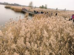 -野鸭湖国家湿地公园