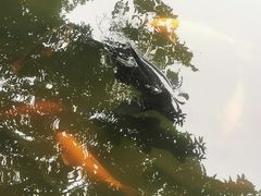-杭州植物园