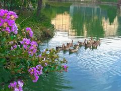 -野鸭湖国家湿地公园