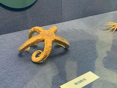 -大连自然博物馆