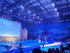 -华夏文旅海洋公园