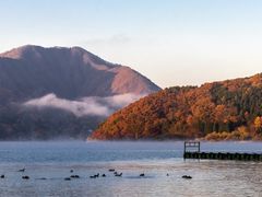 -上海药明康德新药开发有限公司