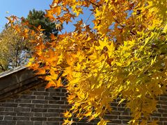 -承德避暑山庄景区