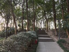 -赭山公园