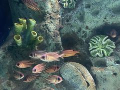 -苏州海洋馆