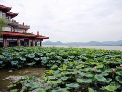 -湖畔居茶楼(湖滨店)
