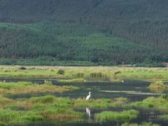 -腾冲北海湿地