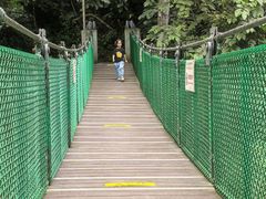 -西双版纳原始森林公园
