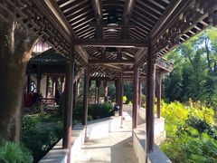 -九龙寨城公园