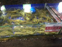 -欢乐海岸美食联盟