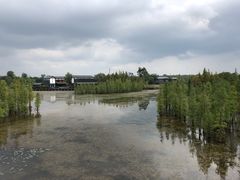 -白鹭湾湿地公园