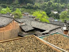 -杨家堂村