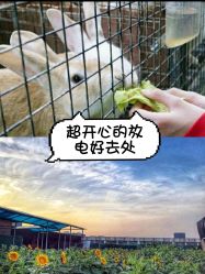 -可可天空农场(中大店)