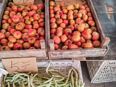 -麦凯乐(开发区店)