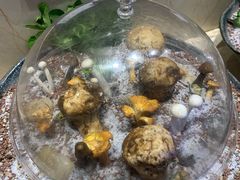 -旺顺阁海鲜广场(亚运村店)